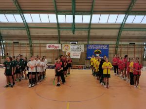 IMG_20241204_100226
