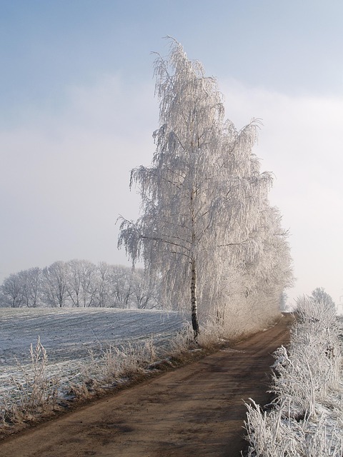 Ostrzeżenie meteorologiczne Nr 34/2025